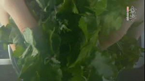 【面皮】1.锅中水开时，放挑拣好的艾草和一撮小苏打，第一遍煮开后倒掉，重新加水大火煮开后，小火煮1小时。煮烂的艾草用纱布沥干。