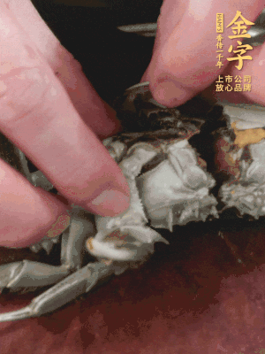 大闸蟹洗净对半切，去底盖去鳃。
